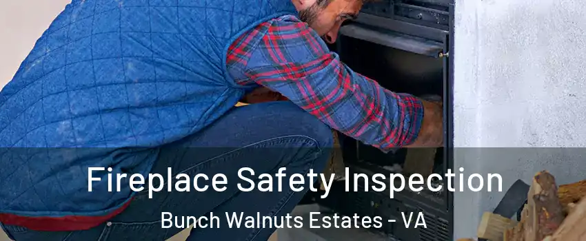Fireplace Safety Inspection Bunch Walnuts Estates - VA