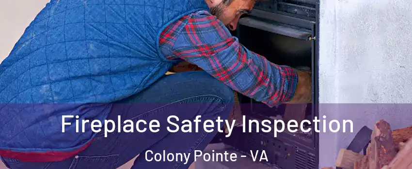 Fireplace Safety Inspection Colony Pointe - VA