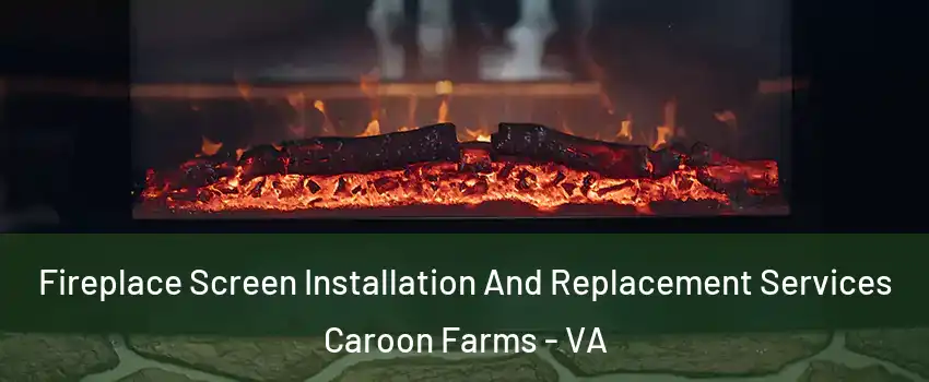 Fireplace Screen Installation And Replacement Services Caroon Farms - VA