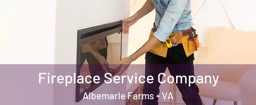 Fireplace Service Company Albemarle Farms - VA