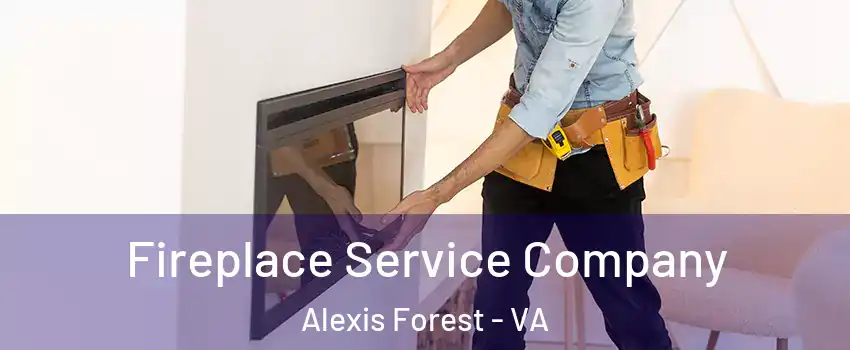 Fireplace Service Company Alexis Forest - VA