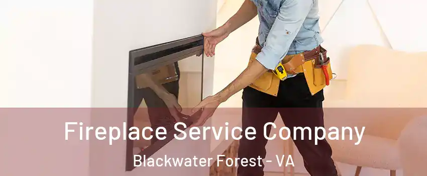 Fireplace Service Company Blackwater Forest - VA