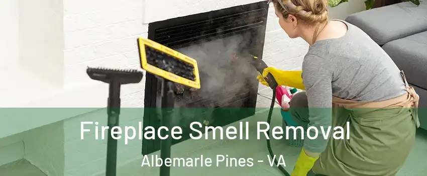 Fireplace Smell Removal Albemarle Pines - VA