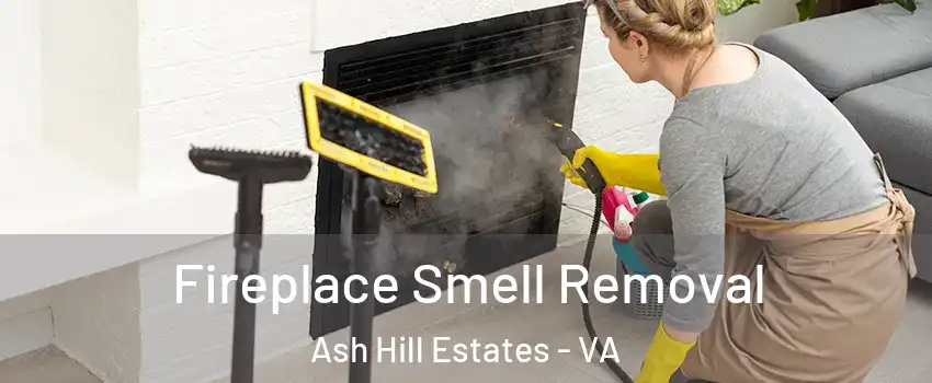 Fireplace Smell Removal Ash Hill Estates - VA