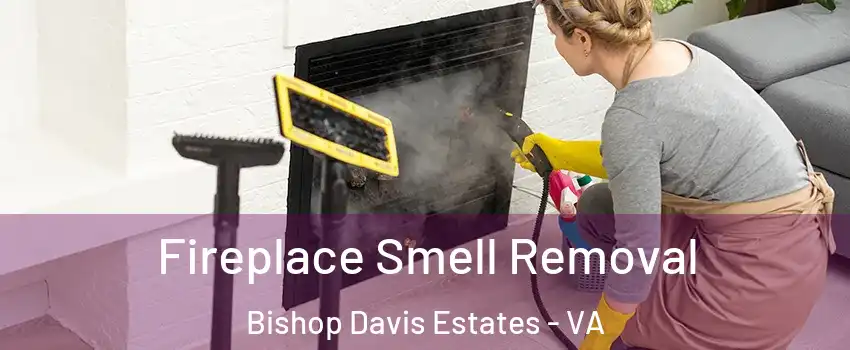 Fireplace Smell Removal Bishop Davis Estates - VA
