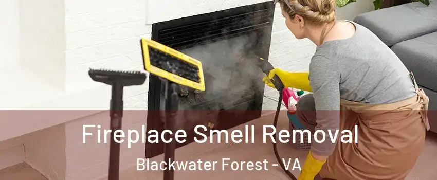 Fireplace Smell Removal Blackwater Forest - VA