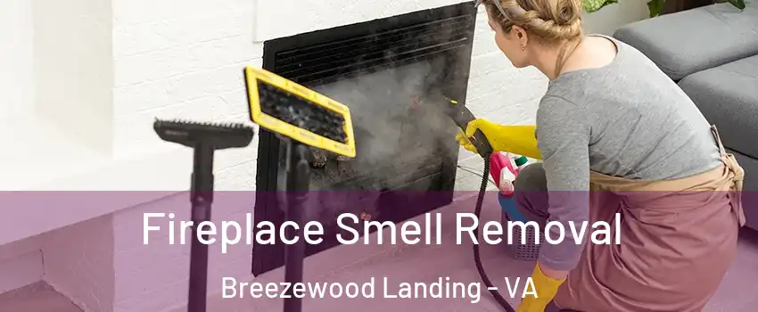 Fireplace Smell Removal Breezewood Landing - VA