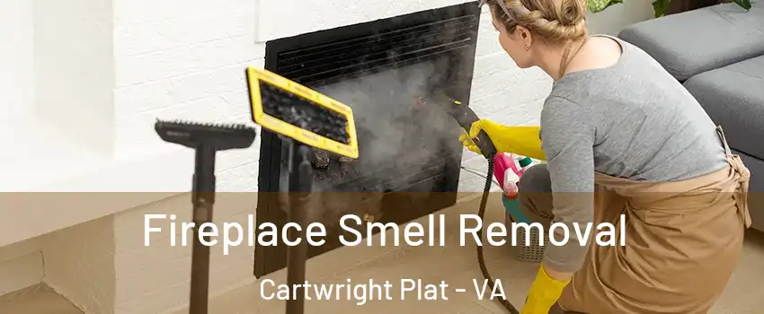 Fireplace Smell Removal Cartwright Plat - VA