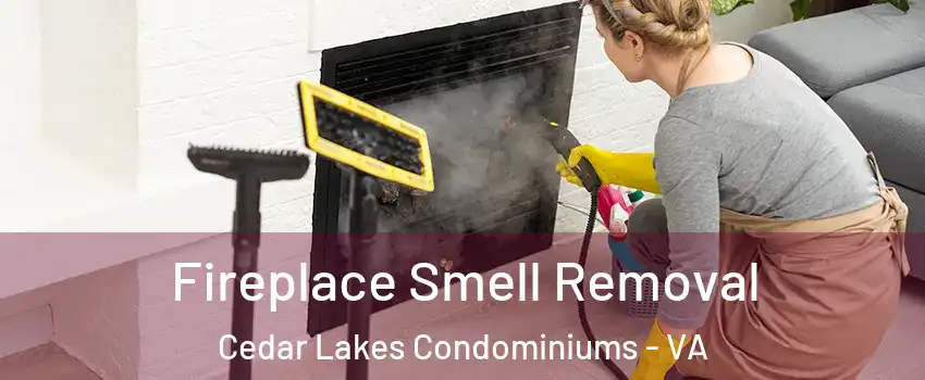 Fireplace Smell Removal Cedar Lakes Condominiums - VA