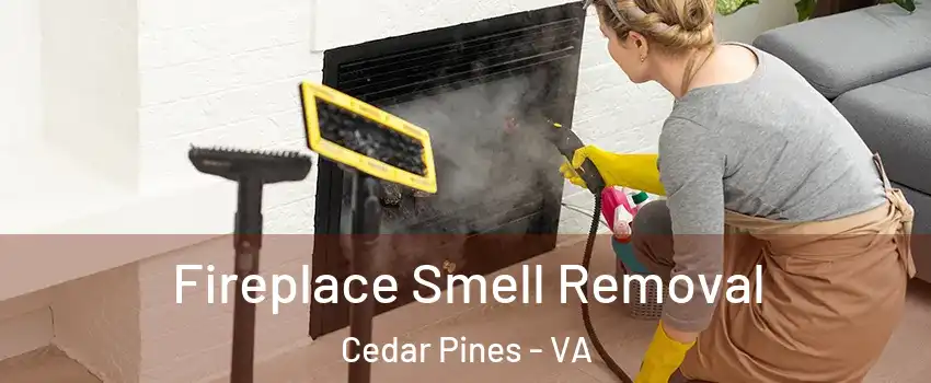 Fireplace Smell Removal Cedar Pines - VA