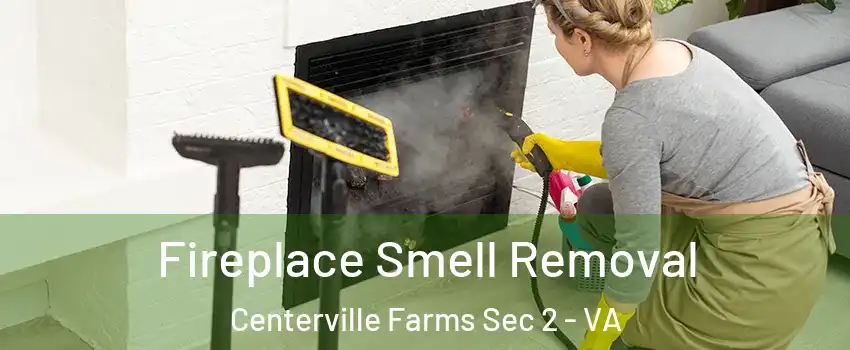 Fireplace Smell Removal Centerville Farms Sec 2 - VA