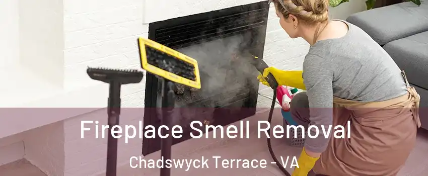 Fireplace Smell Removal Chadswyck Terrace - VA