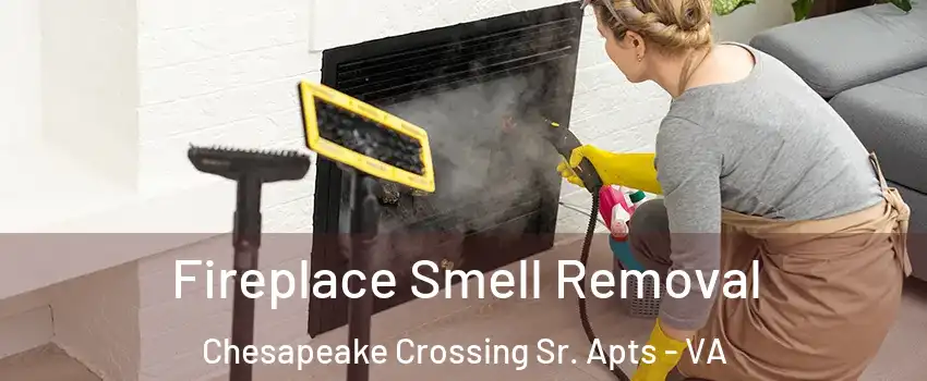 Fireplace Smell Removal Chesapeake Crossing Sr. Apts - VA