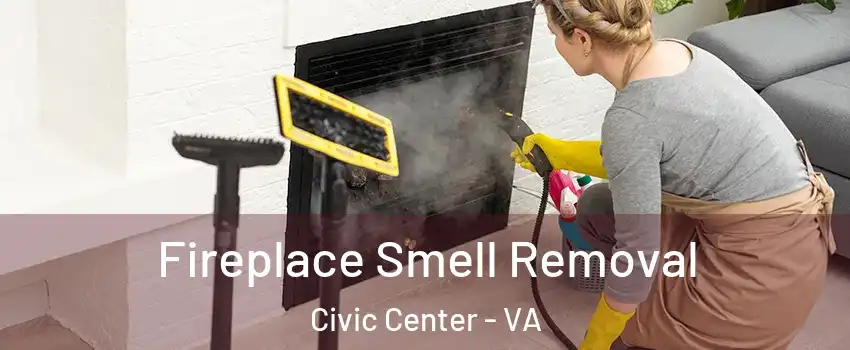 Fireplace Smell Removal Civic Center - VA