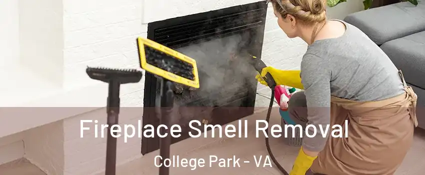 Fireplace Smell Removal College Park - VA