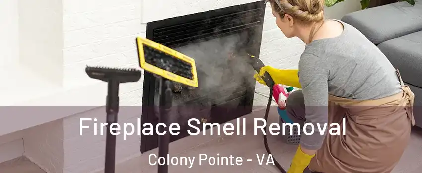 Fireplace Smell Removal Colony Pointe - VA
