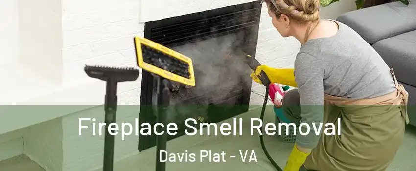 Fireplace Smell Removal Davis Plat - VA