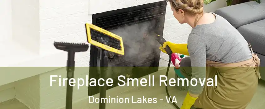 Fireplace Smell Removal Dominion Lakes - VA