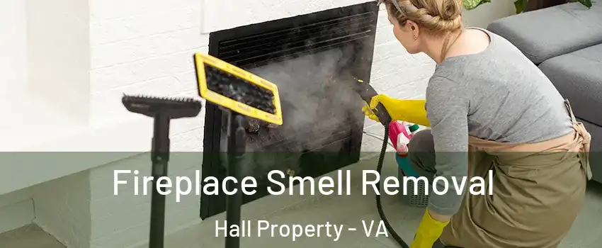 Fireplace Smell Removal Hall Property - VA