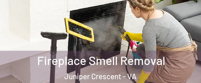 Fireplace Smell Removal Juniper Crescent - VA