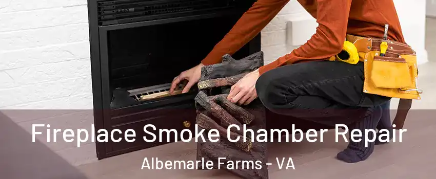 Fireplace Smoke Chamber Repair Albemarle Farms - VA