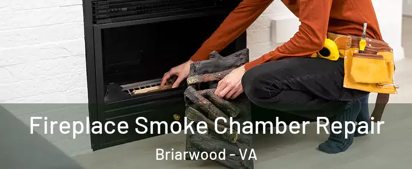 Fireplace Smoke Chamber Repair Briarwood - VA