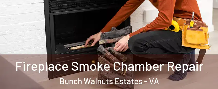 Fireplace Smoke Chamber Repair Bunch Walnuts Estates - VA