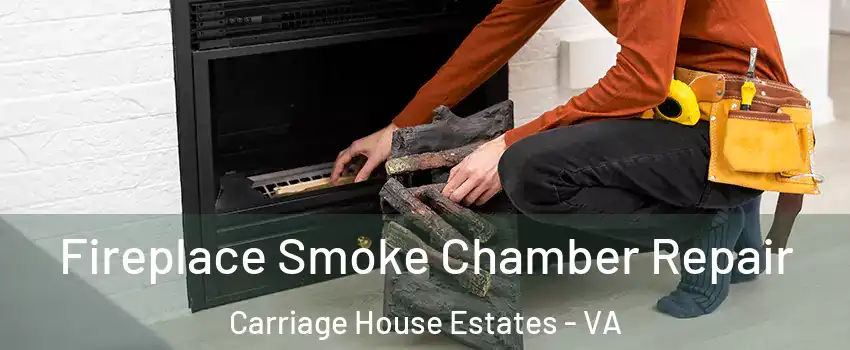 Fireplace Smoke Chamber Repair Carriage House Estates - VA