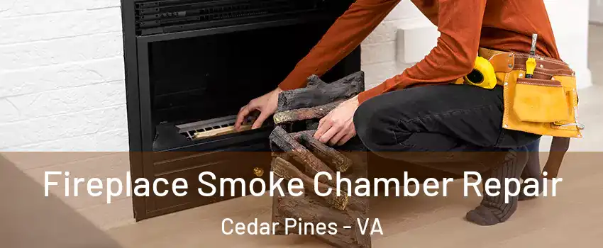 Fireplace Smoke Chamber Repair Cedar Pines - VA
