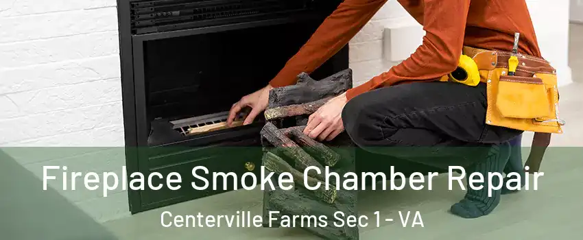Fireplace Smoke Chamber Repair Centerville Farms Sec 1 - VA