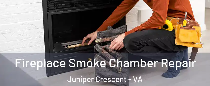 Fireplace Smoke Chamber Repair Juniper Crescent - VA