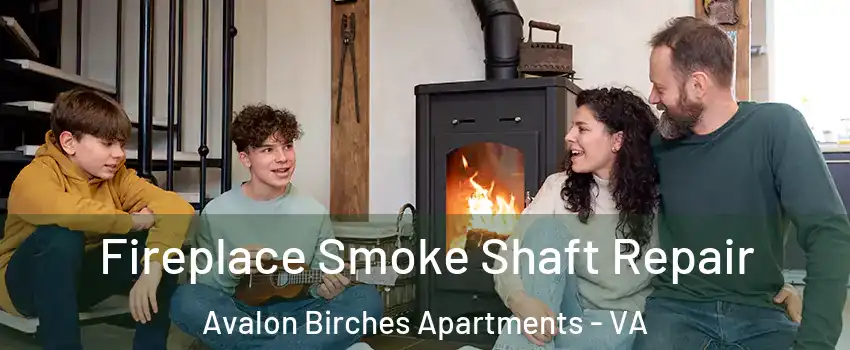Fireplace Smoke Shaft Repair Avalon Birches Apartments - VA