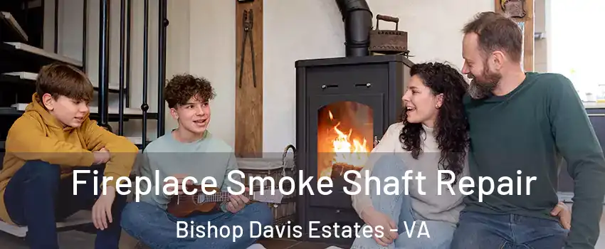 Fireplace Smoke Shaft Repair Bishop Davis Estates - VA
