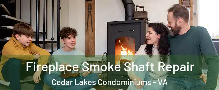 Fireplace Smoke Shaft Repair Cedar Lakes Condominiums - VA