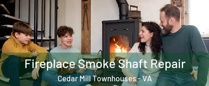 Fireplace Smoke Shaft Repair Cedar Mill Townhouses - VA