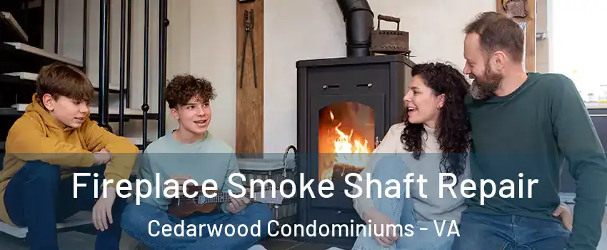 Fireplace Smoke Shaft Repair Cedarwood Condominiums - VA