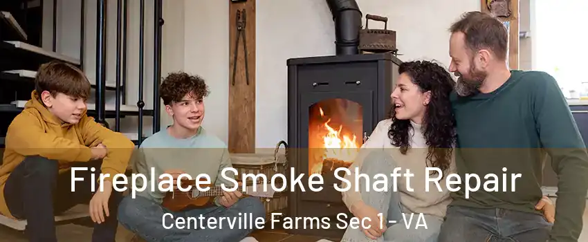 Fireplace Smoke Shaft Repair Centerville Farms Sec 1 - VA