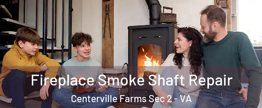 Fireplace Smoke Shaft Repair Centerville Farms Sec 2 - VA