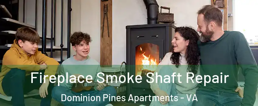 Fireplace Smoke Shaft Repair Dominion Pines Apartments - VA