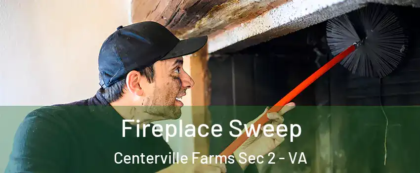 Fireplace Sweep Centerville Farms Sec 2 - VA