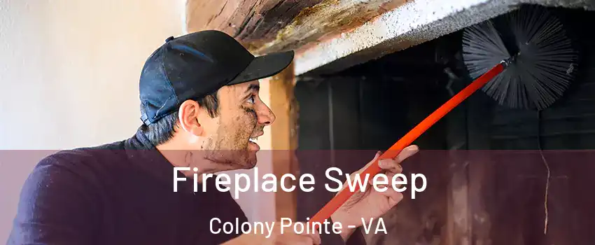 Fireplace Sweep Colony Pointe - VA
