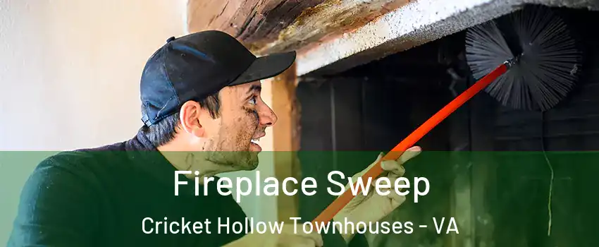 Fireplace Sweep Cricket Hollow Townhouses - VA