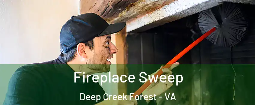 Fireplace Sweep Deep Creek Forest - VA