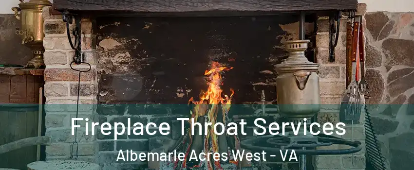 Fireplace Throat Services Albemarle Acres West - VA