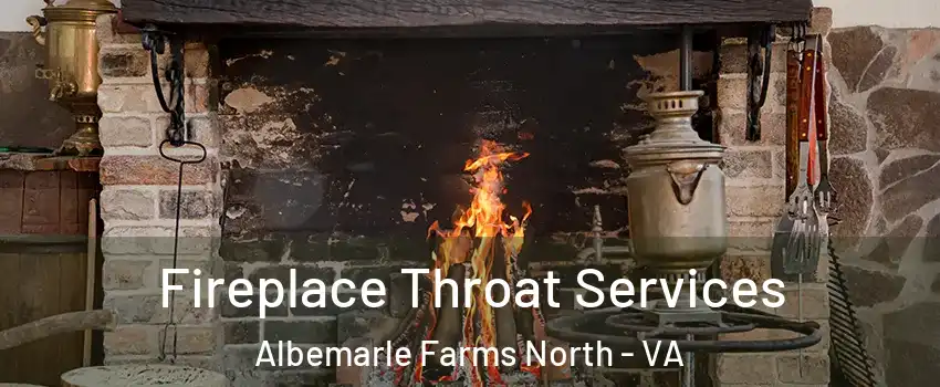 Fireplace Throat Services Albemarle Farms North - VA