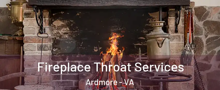 Fireplace Throat Services Ardmore - VA