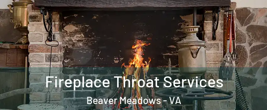 Fireplace Throat Services Beaver Meadows - VA