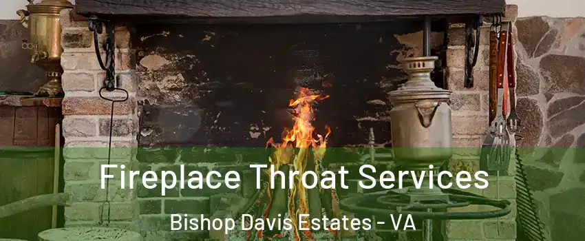 Fireplace Throat Services Bishop Davis Estates - VA