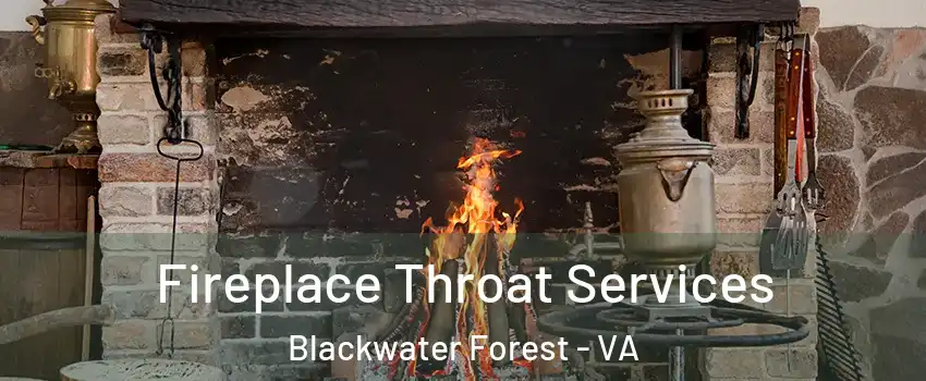 Fireplace Throat Services Blackwater Forest - VA