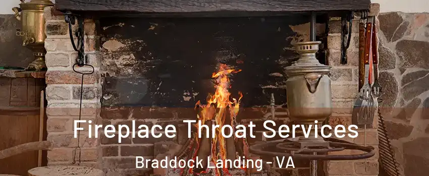 Fireplace Throat Services Braddock Landing - VA